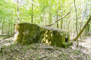 Ligne Maginot - SCHEIDWALD 4 - (Blockhaus pour arme infanterie) - 