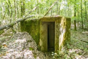 Ligne Maginot - SCHEIDWALD 4 - (Blockhaus pour arme infanterie) - 