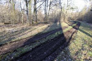 Ligne Maginot - BOIS DE LORRAINE - (Dépôt du Génie) - La piste actuelle qui dessert l'ancien dépôt