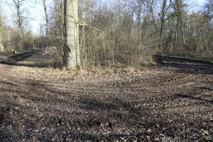 Ligne Maginot - BOIS DE LORRAINE - (Dépôt du Génie) - La piste actuelle qui dessert l'ancien dépôt