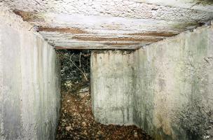 Ligne Maginot - CÔTE 311 BIS - (PC) - 