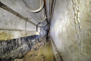 Ligne Maginot - BOIS DE KLANG - X24 (QUARTIER KLANG - III/164° RIF) - (Abri) - Galerie inondé