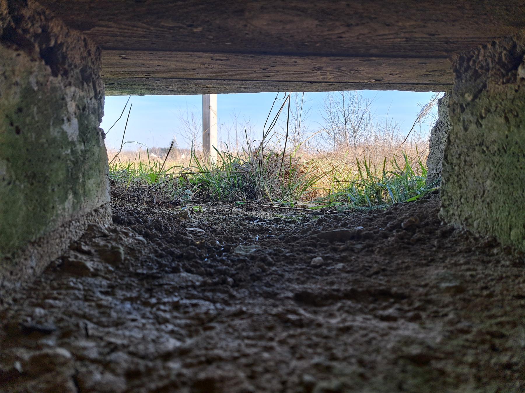 Ligne Maginot - BA82 - ROCROI OUEST 2 - (Blockhaus pour arme infanterie) - Vue depuis un créneau de mitrailleuse. - ANDRE Philippe