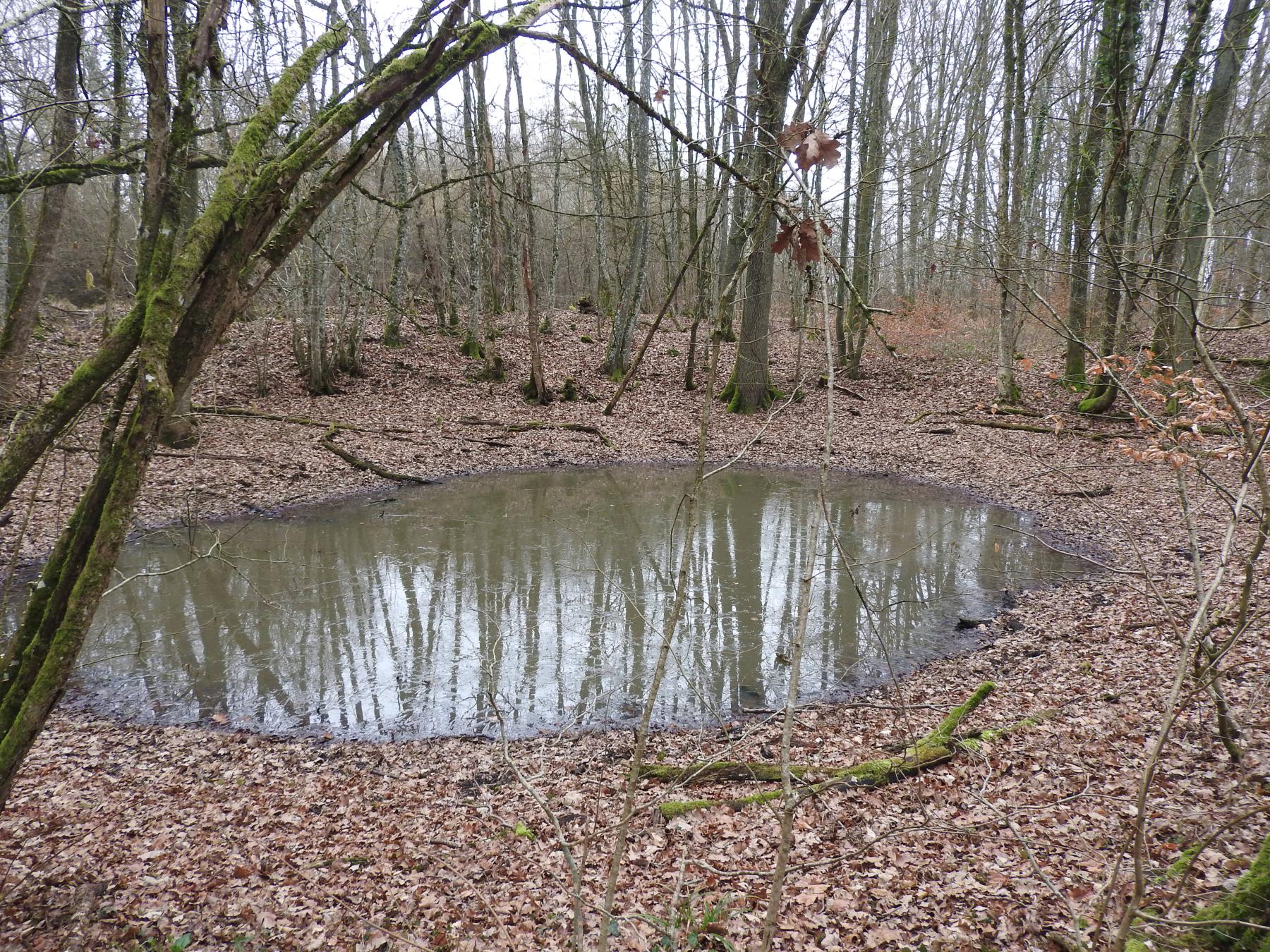 Ligne Maginot - BB373 - (Blockhaus pour arme infanterie) - Les fouilles du bloc ? - STENGER Mathieu