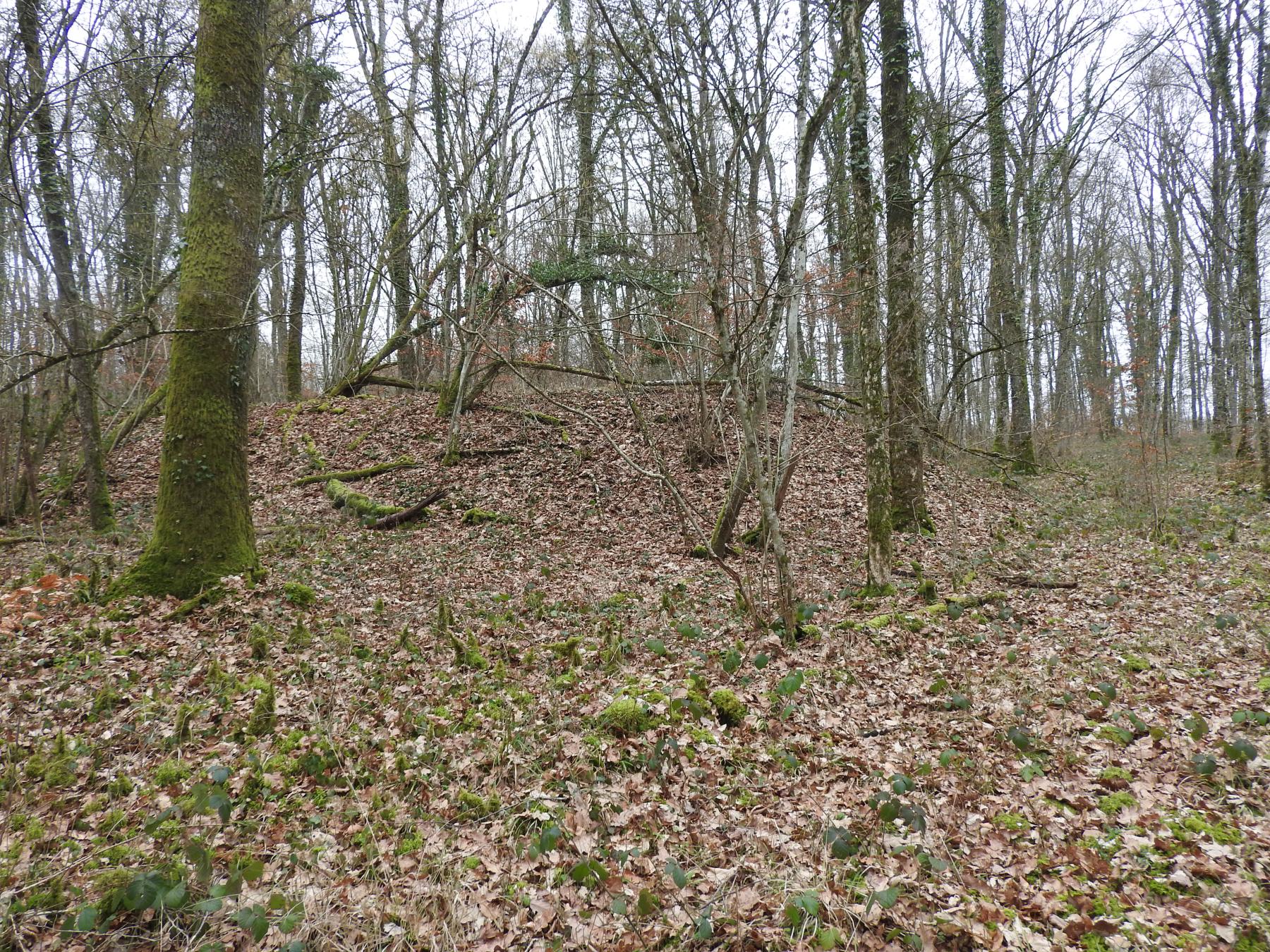 Ligne Maginot - BB373 - (Blockhaus pour arme infanterie) - Un tas de déblais juste à côté . - STENGER Mathieu