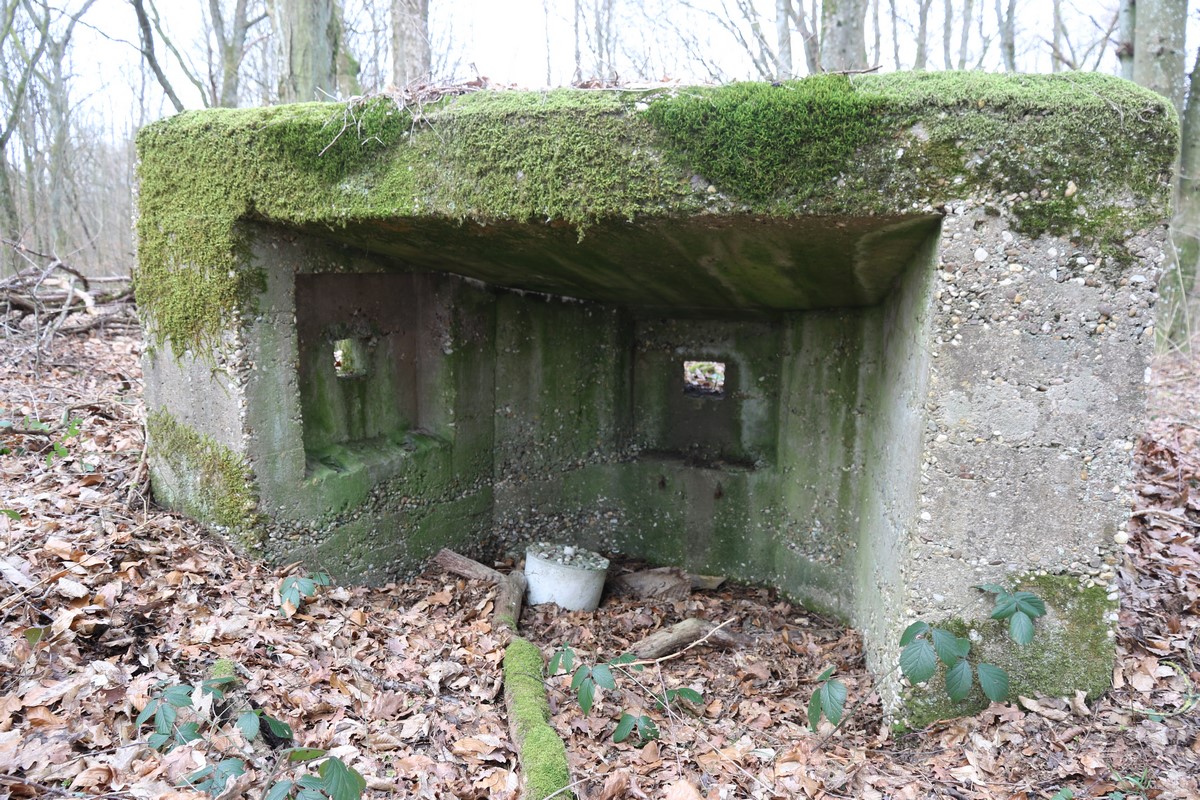 Ligne Maginot - HERBITZHEIM 28 - (Blockhaus pour arme infanterie) -  - Alain Perouffe