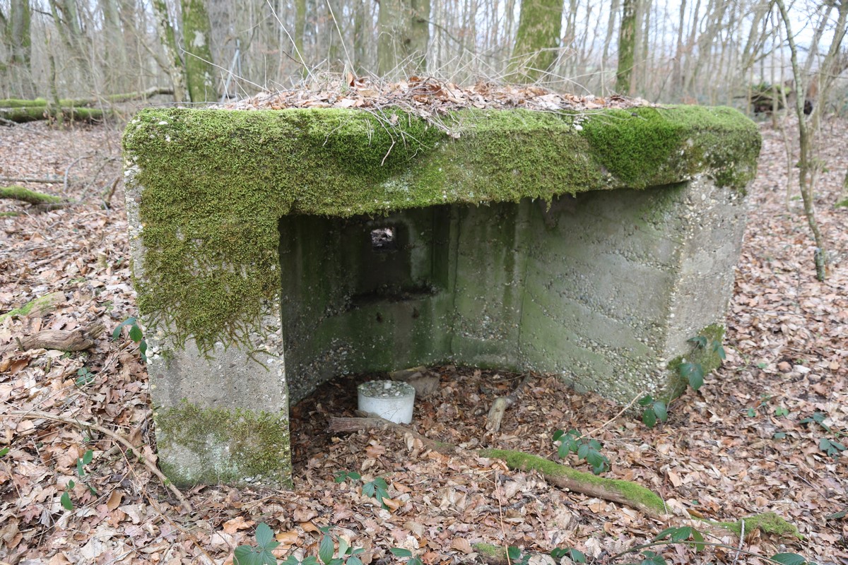 Ligne Maginot - HERBITZHEIM 28 - (Blockhaus pour arme infanterie) -  - Alain Perouffe