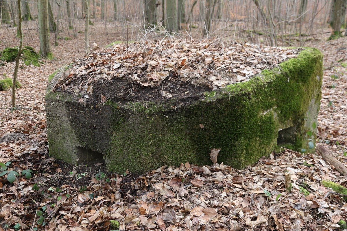 Ligne Maginot - HERBITZHEIM 28 - (Blockhaus pour arme infanterie) -  - Alain Perouffe