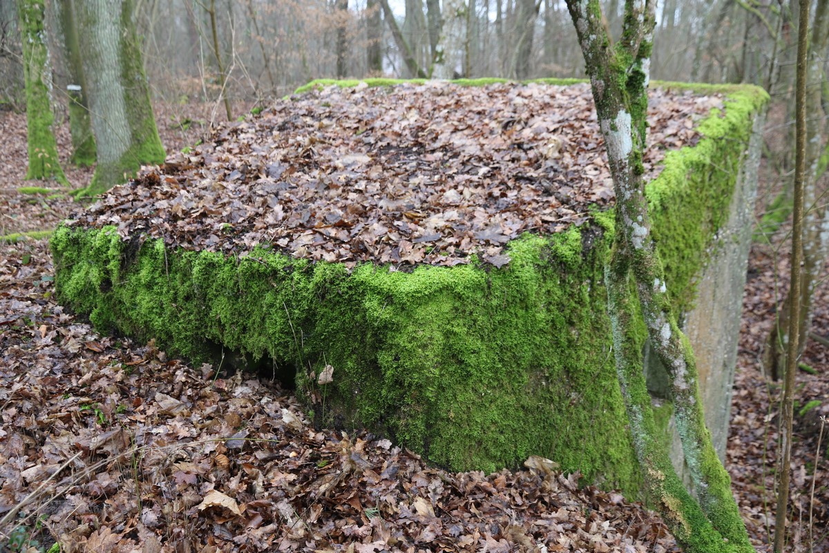 Ligne Maginot - HERBITZHEIM 25 - (Blockhaus pour arme infanterie) -  - Alain Perouffe