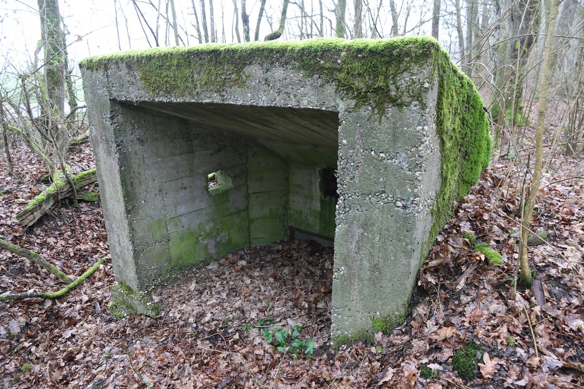 Ligne Maginot - HERBITZHEIM 25 - (Blockhaus pour arme infanterie) -  - Alain Perouffe