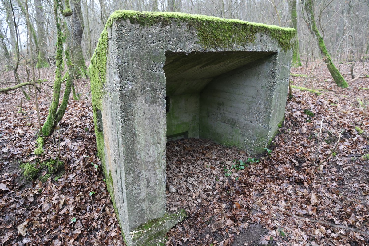 Ligne Maginot - HERBITZHEIM 25 - (Blockhaus pour arme infanterie) -  - Alain Perouffe