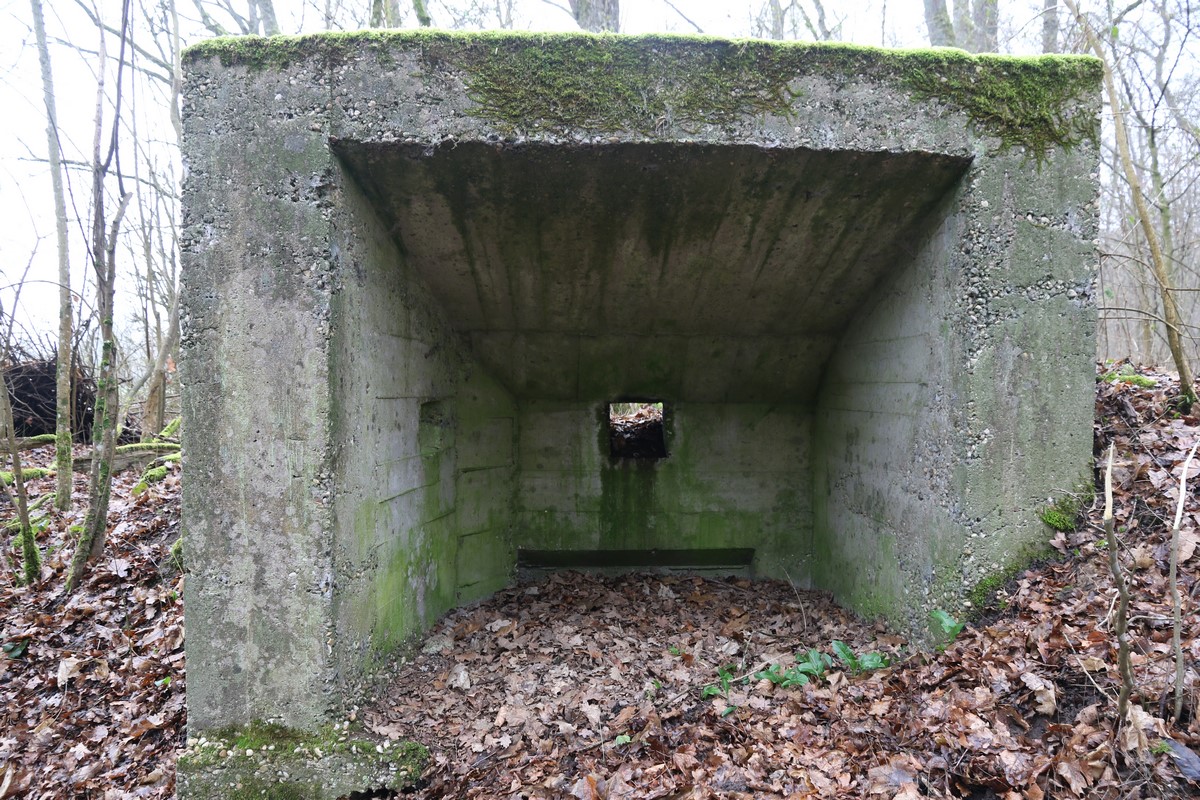 Ligne Maginot - HERBITZHEIM 25 - (Blockhaus pour arme infanterie) -  - Alain Perouffe