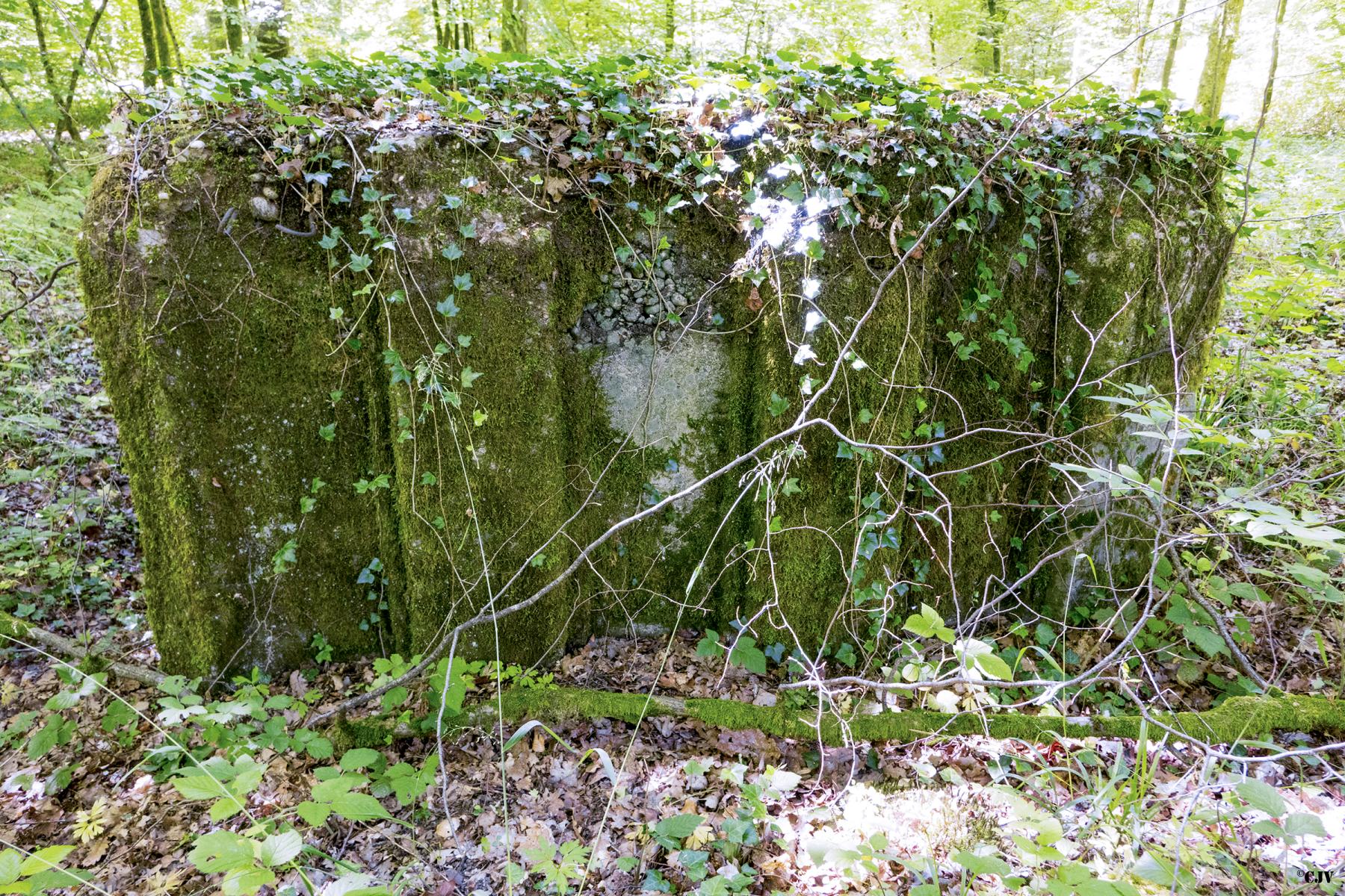 Ligne Maginot - UBERNIED 2 - (Blockhaus pour arme infanterie) - 