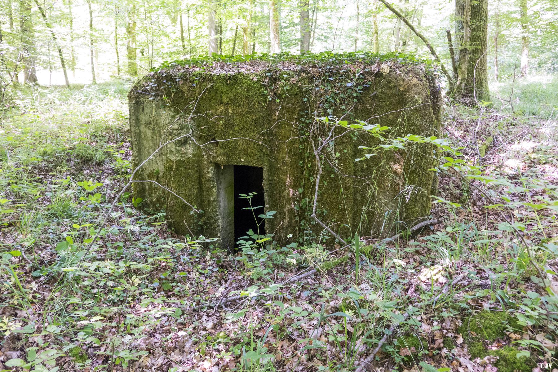 Ligne Maginot - UBERNIED 2 - (Blockhaus pour arme infanterie) - L'entrée