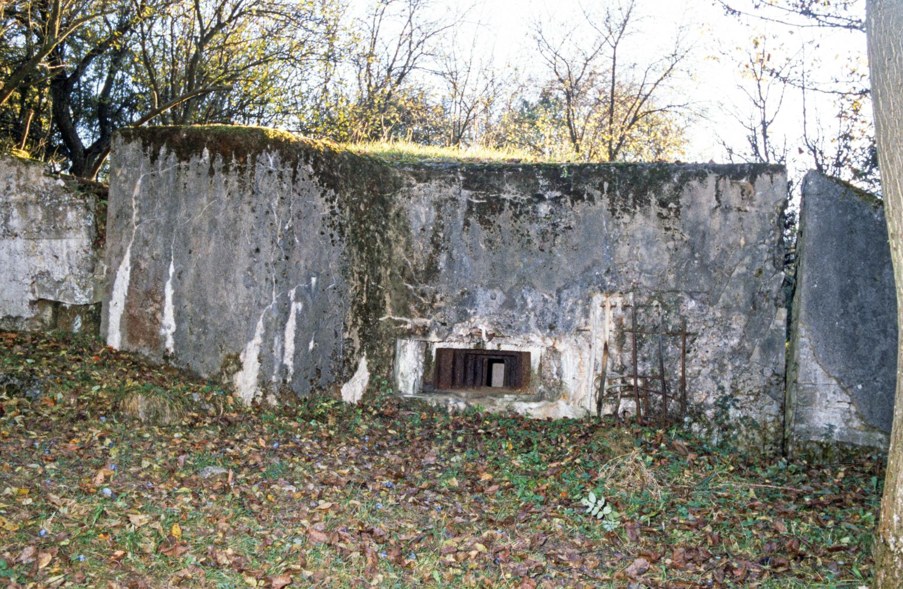 Ligne Maginot - WELSCHBRUCH NORD 1 - (Blockhaus pour arme infanterie) - La façade de tir - MANSUY Michel
