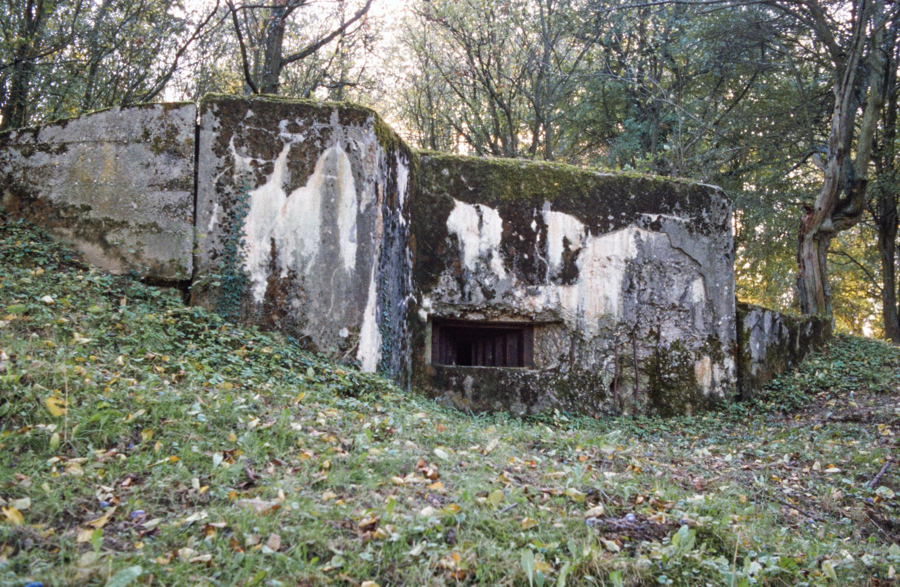 Ligne Maginot - WELSCHBRUCH NORD 1 - (Blockhaus pour arme infanterie) - La façade de tir - MANSUY Michel