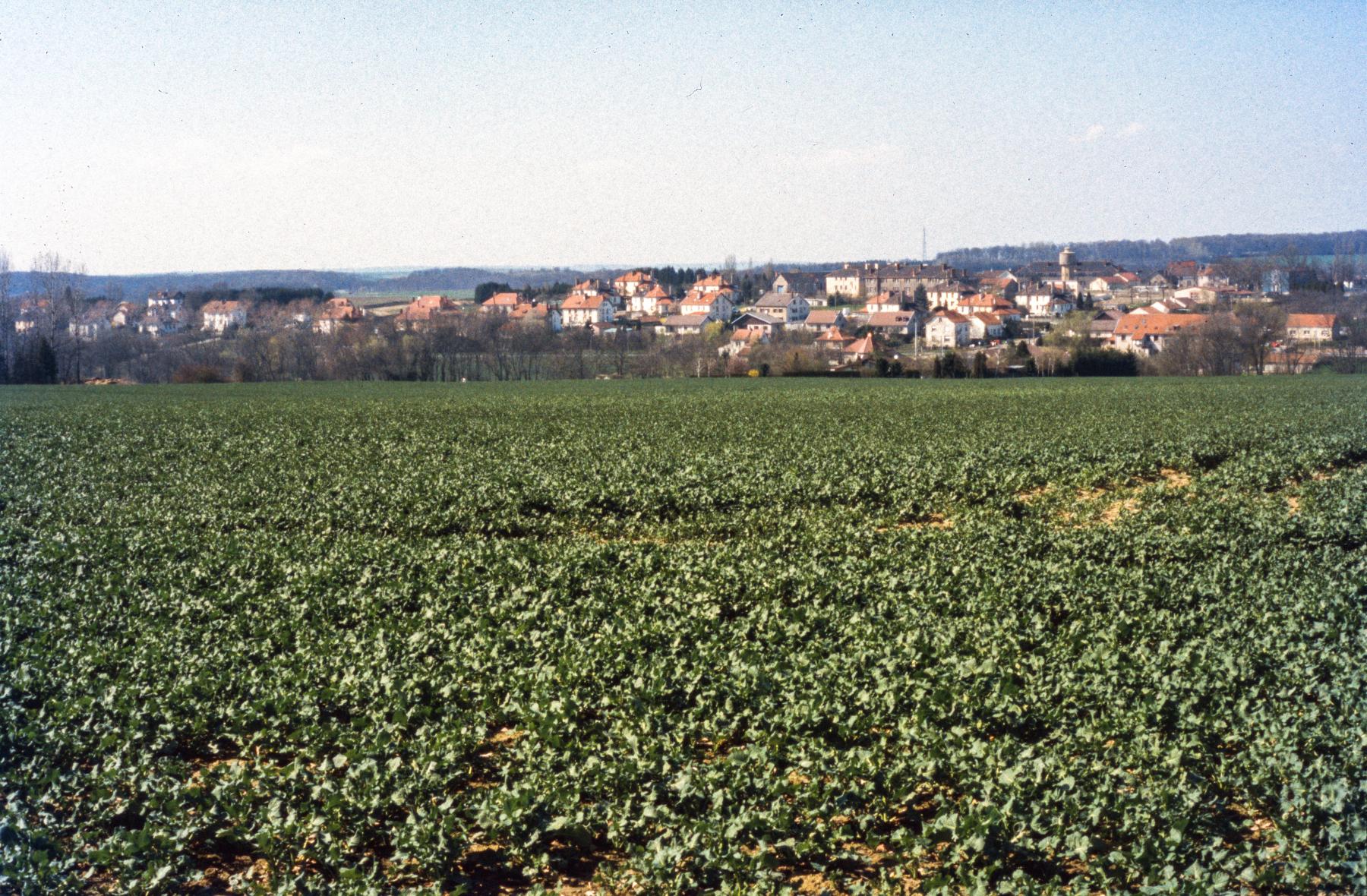 Ligne Maginot - ZIMMING CITéS - (Cité Cadres) - Le camp et la cité de Zimming - MANSUY Michel