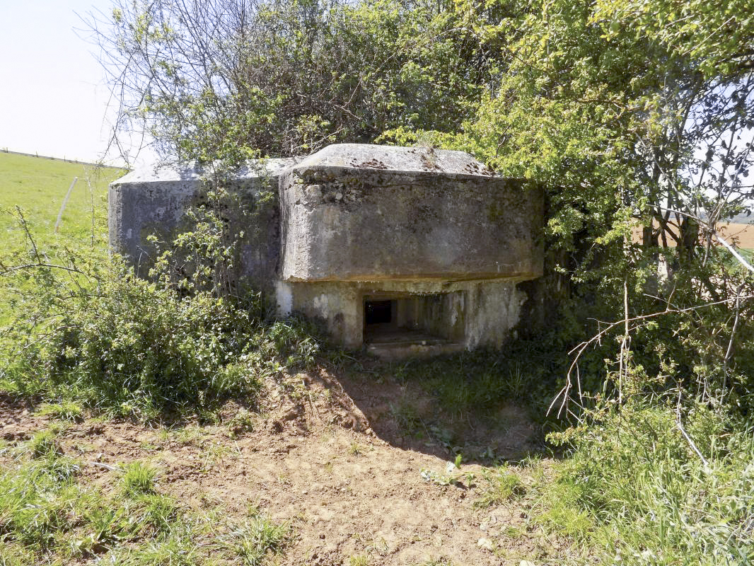 Ligne Maginot - 12C - MONT DE BRUNE NORD - (Blockhaus pour arme infanterie) - Face centrale - R Tucker