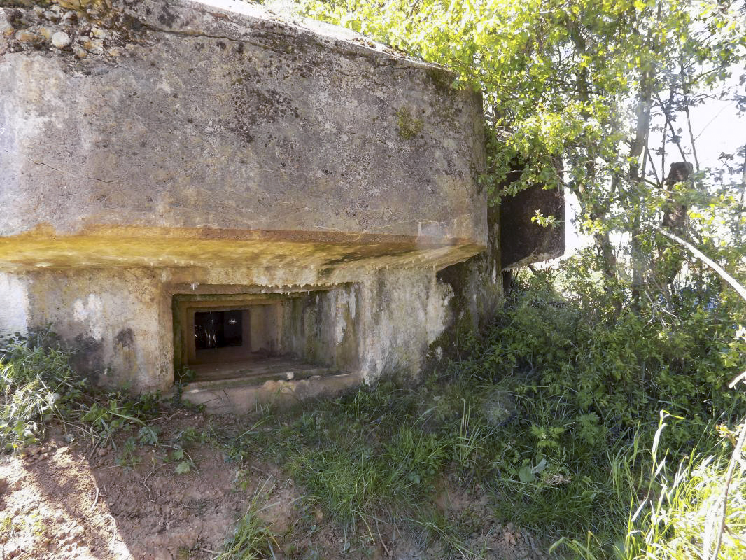 Ligne Maginot - 12C - MONT DE BRUNE NORD - (Blockhaus pour arme infanterie) - Face centrale - R Tucker