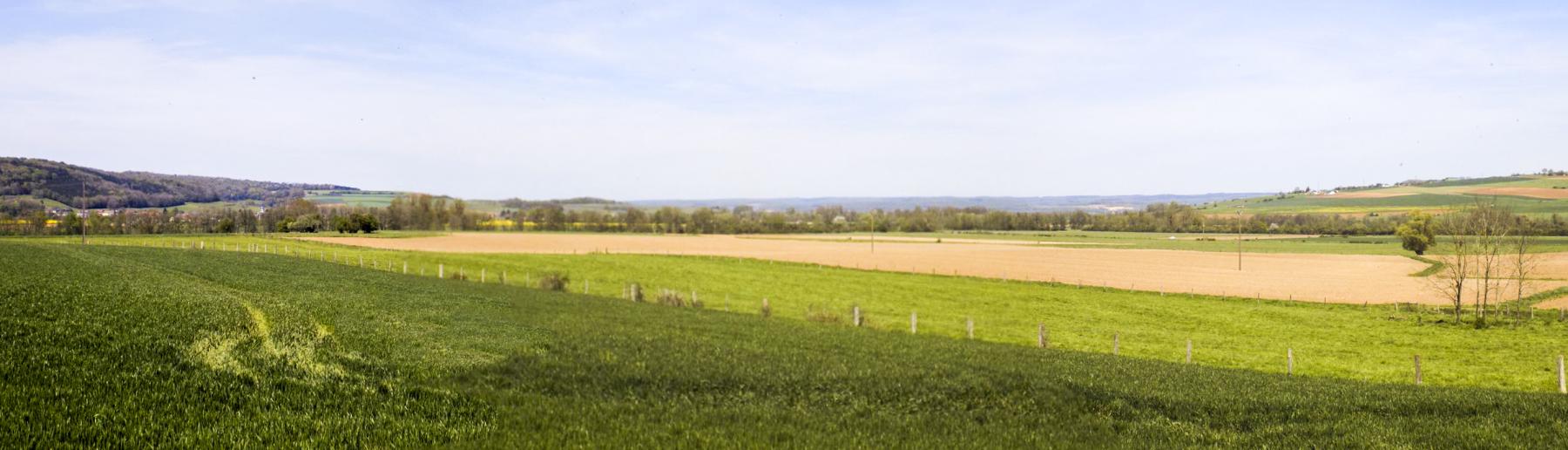 Ligne Maginot - 12C - MONT DE BRUNE NORD - (Blockhaus pour arme infanterie) - Vue vers le nord-ouest et le nord - R Tucker