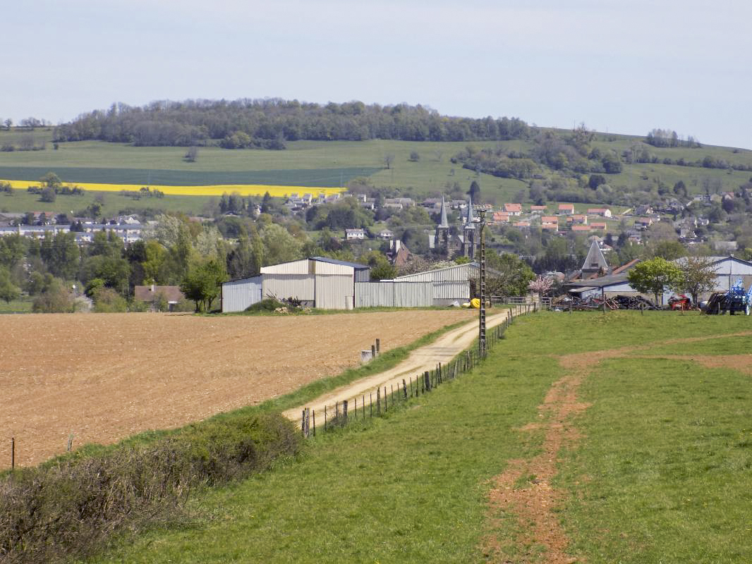 Ligne Maginot - 12C - MONT DE BRUNE NORD - (Blockhaus pour arme infanterie) - Vue vers le nord-est, voie Romaine, Mouzon. Direction de tir face centrale. - R Tucker