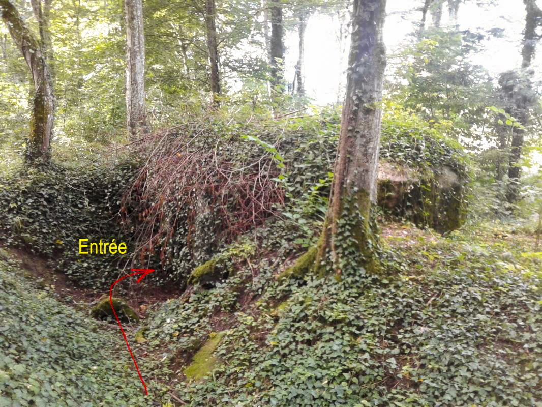 Ligne Maginot - 12A - BOIS DE BLANCHAMPAGNE OUEST - (Blockhaus pour arme infanterie) - Vue du bloc par l'Est avec tranchée d'accès coudée.