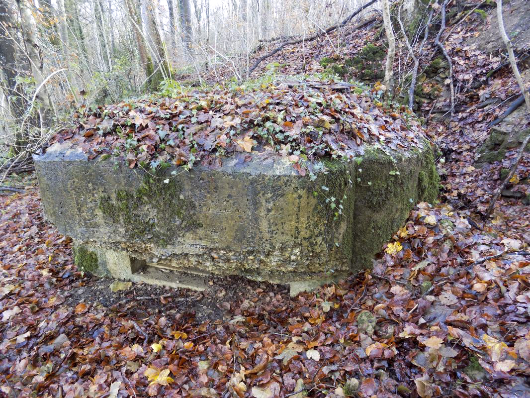 Ligne Maginot - 13A - BOIS DE BLANCHAMPAGNE EST - (Blockhaus pour arme infanterie) - Face gauche