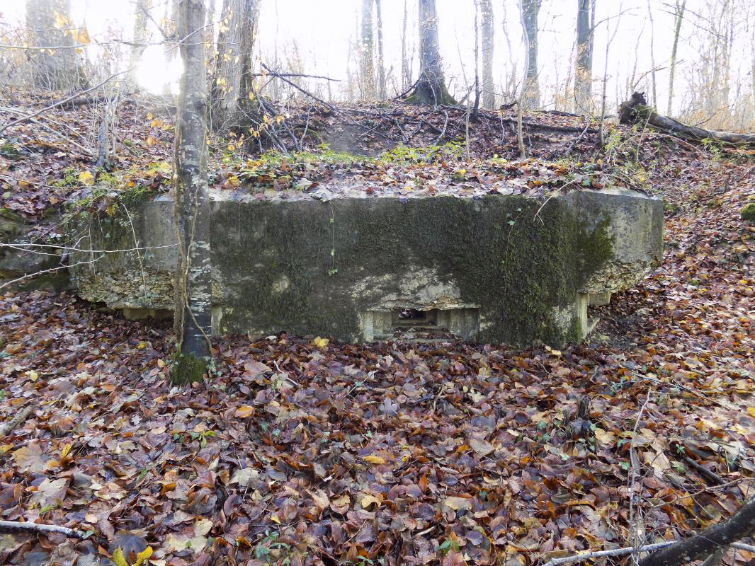 Ligne Maginot - 13A - BOIS DE BLANCHAMPAGNE EST - (Blockhaus pour arme infanterie) - Faces frontale et gauche