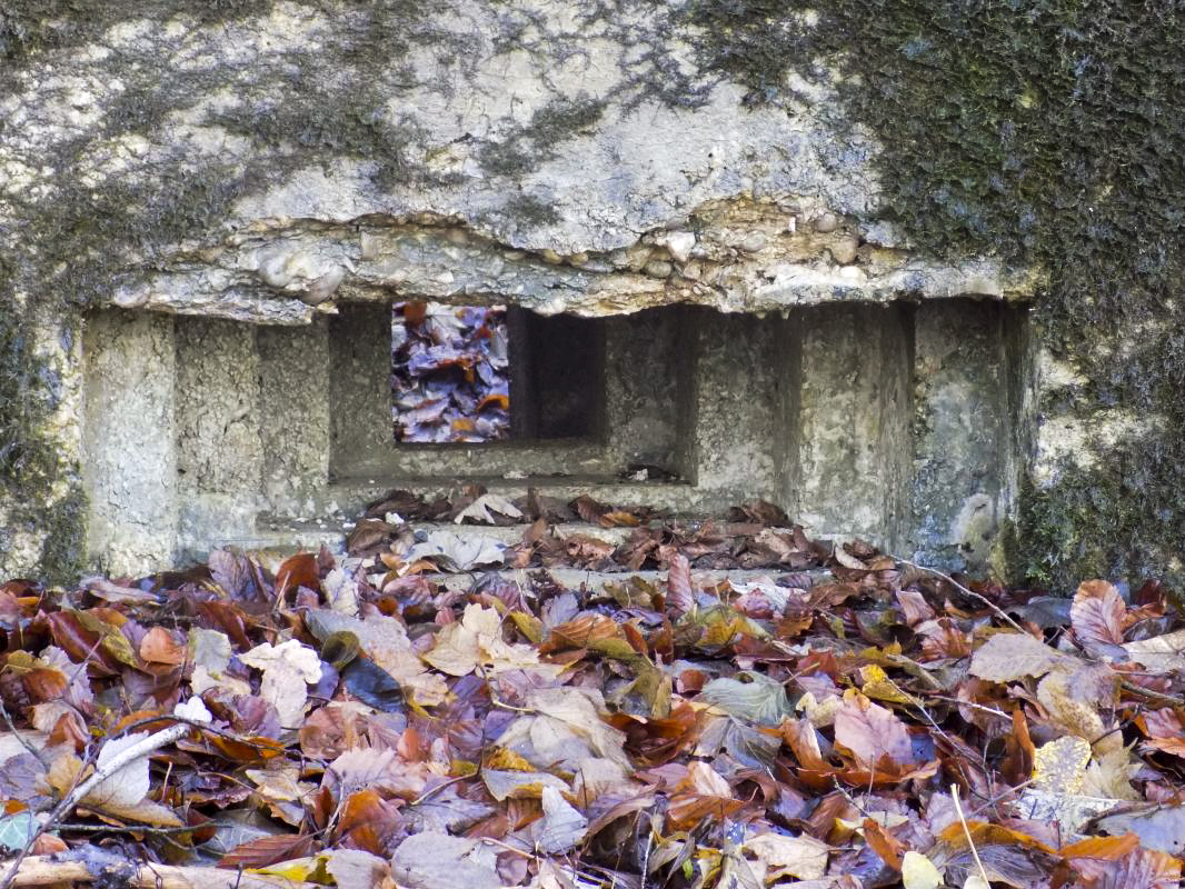 Ligne Maginot - 13A - BOIS DE BLANCHAMPAGNE EST - (Blockhaus pour arme infanterie) - Face frontale, créneau Obs/FM