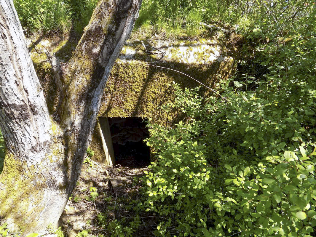 Ligne Maginot - 13C - MONT DE BRUNE SUD - (Blockhaus pour arme infanterie) - L'entrée