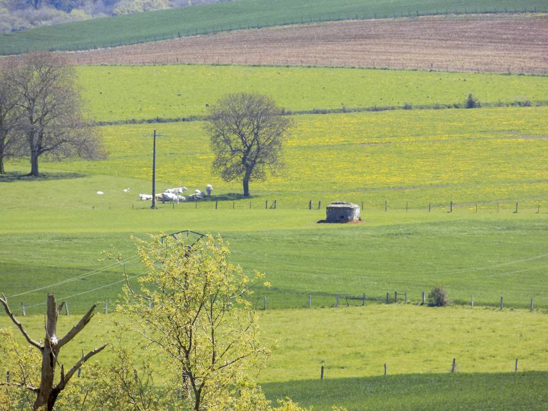Ligne Maginot - 13C - MONT DE BRUNE SUD - (Blockhaus pour arme infanterie) - Vue vers le sud-est, B14-C - R Tucker