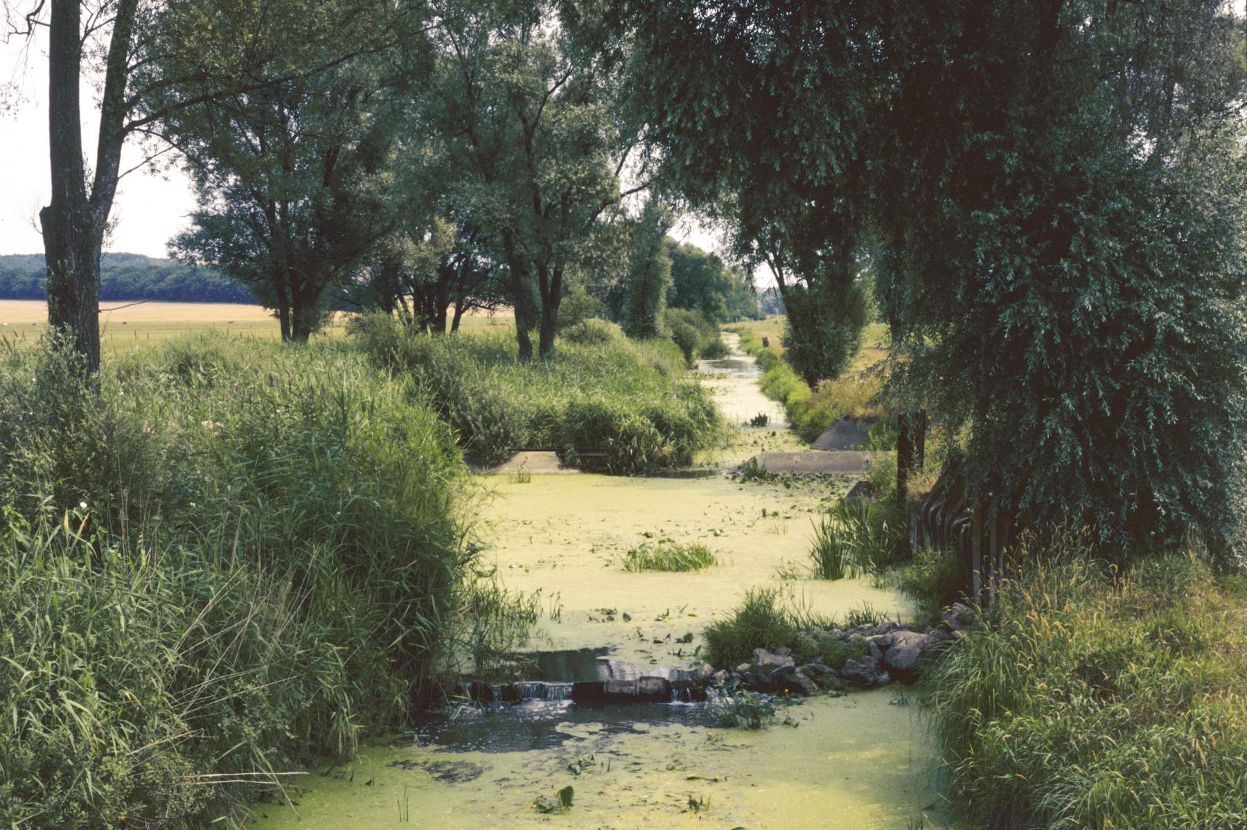 Ligne Maginot - TETING - (Inondation défensive) -  - MANSUY Michel