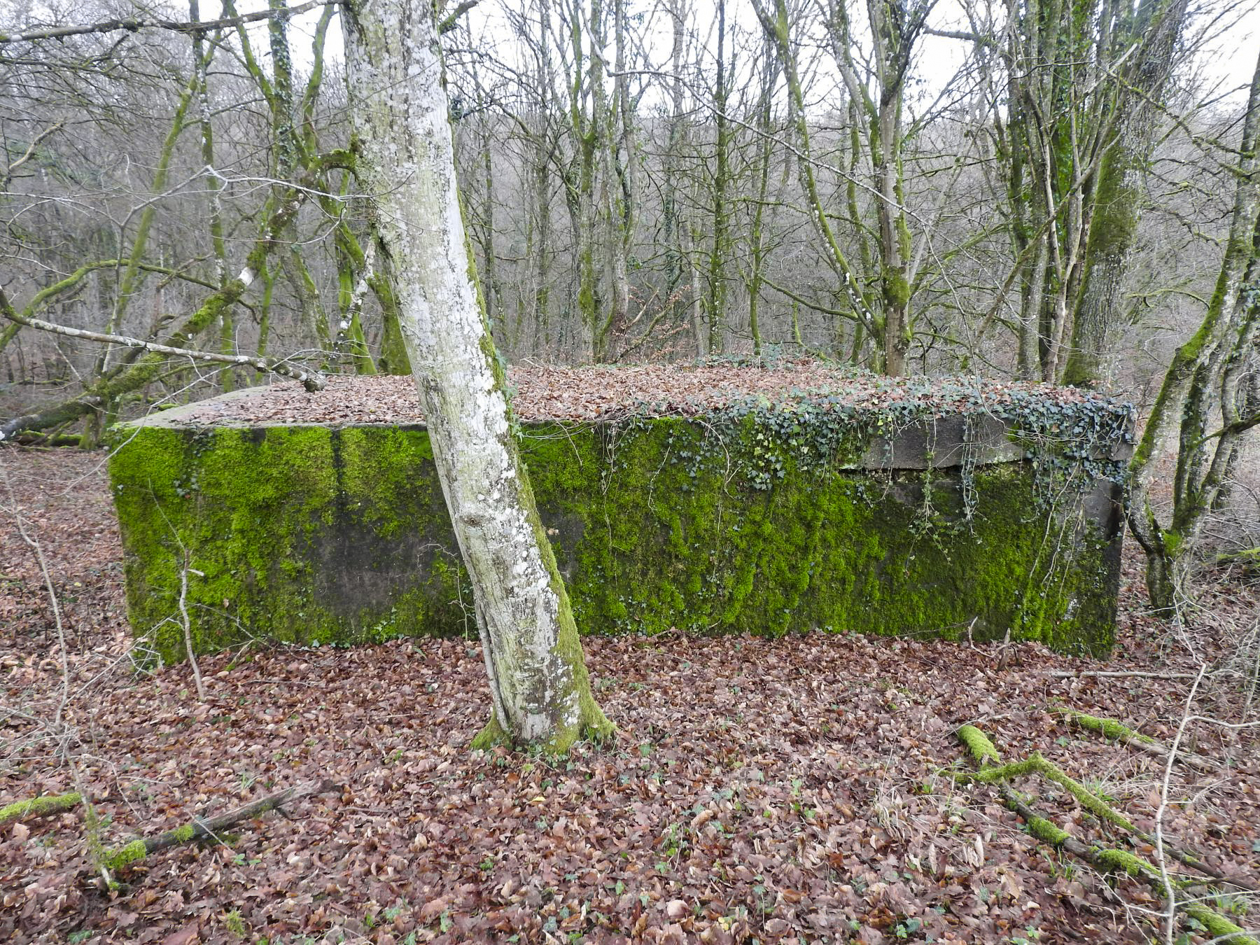 Ligne Maginot - BB357 - (Blockhaus pour arme infanterie) - La vue depuis le sud. - STENGER Mathieu