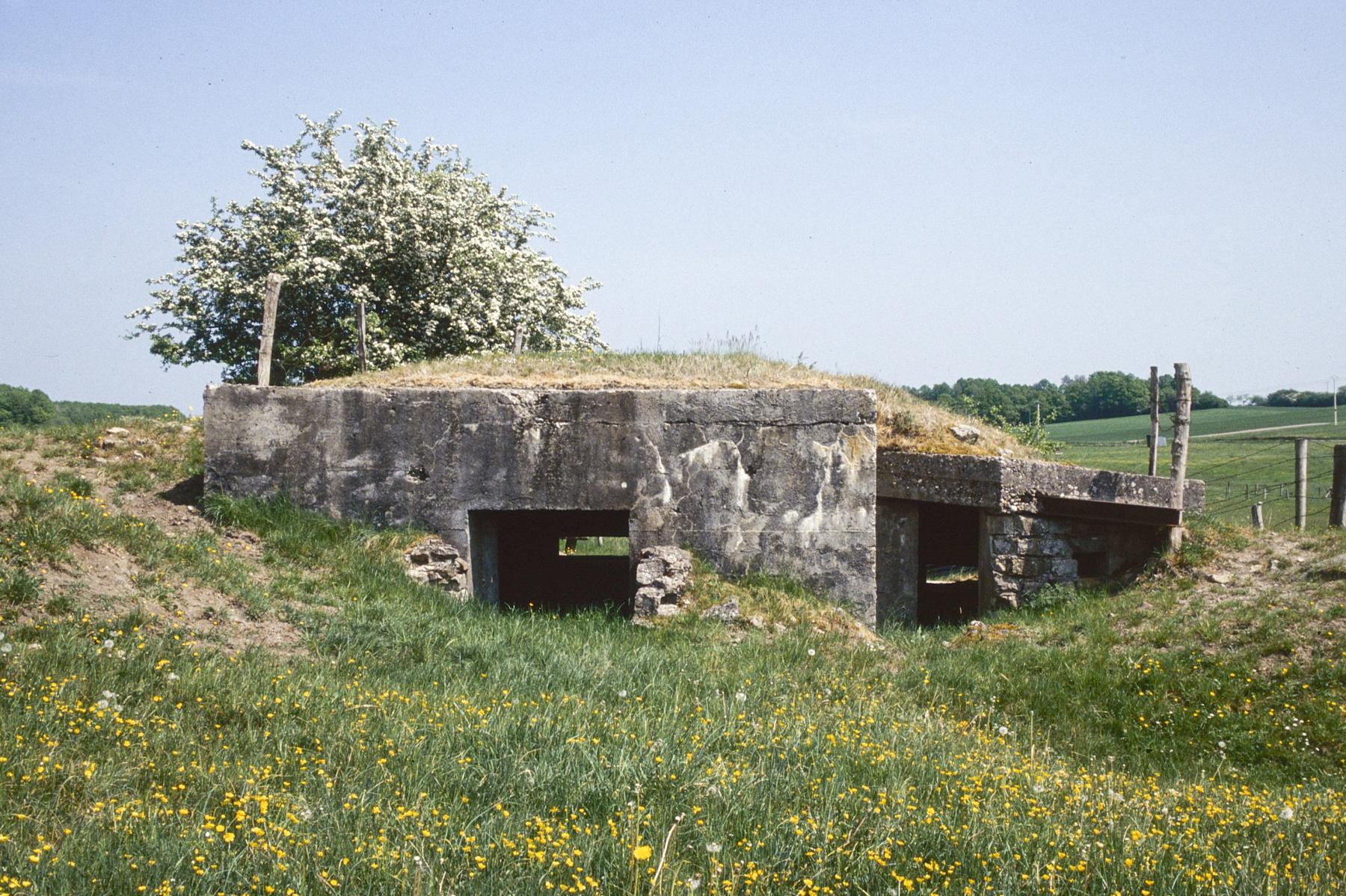 Ligne Maginot - BIDING EST 3 - (Blockhaus pour canon) -  - MANSUY Michel