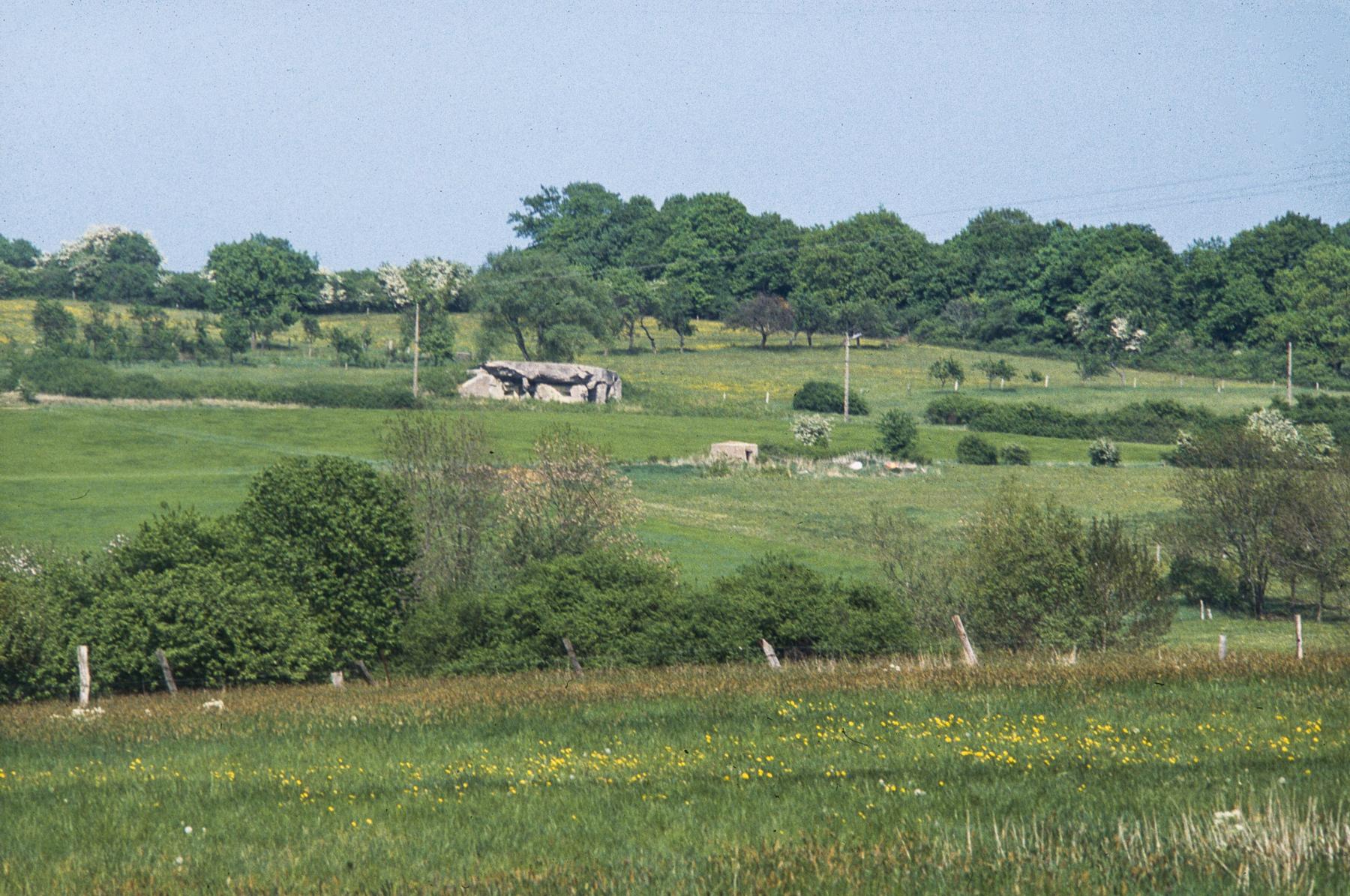 Ligne Maginot - AC3B - MC15  - BIDING NORD - (Casemate d'artillerie) -  - MANSUY Michel