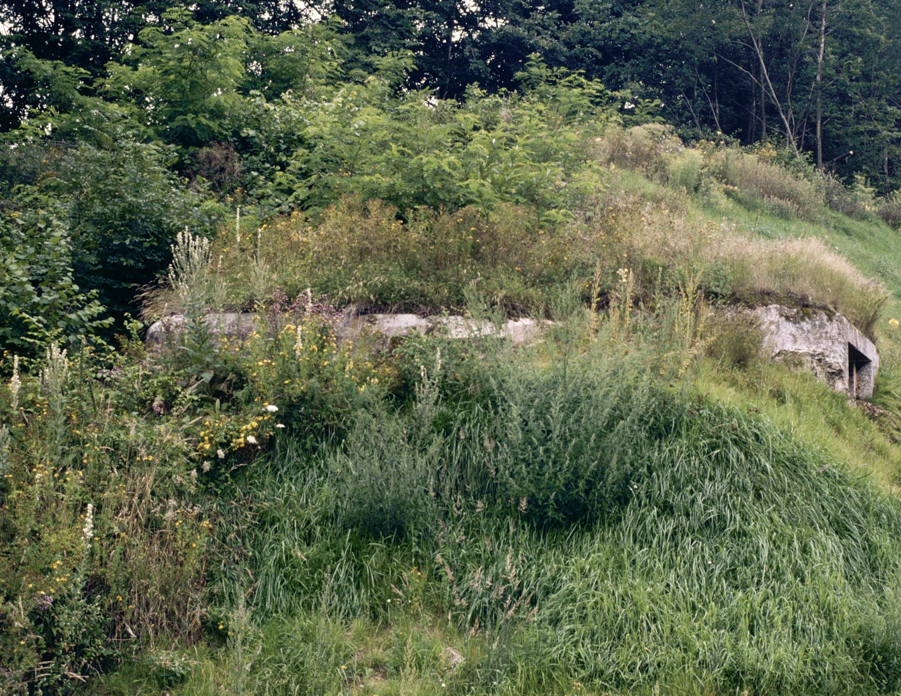 Ligne Maginot - GALGENBERG EST - (Blockhaus pour arme infanterie) -  - MANSUY Michel