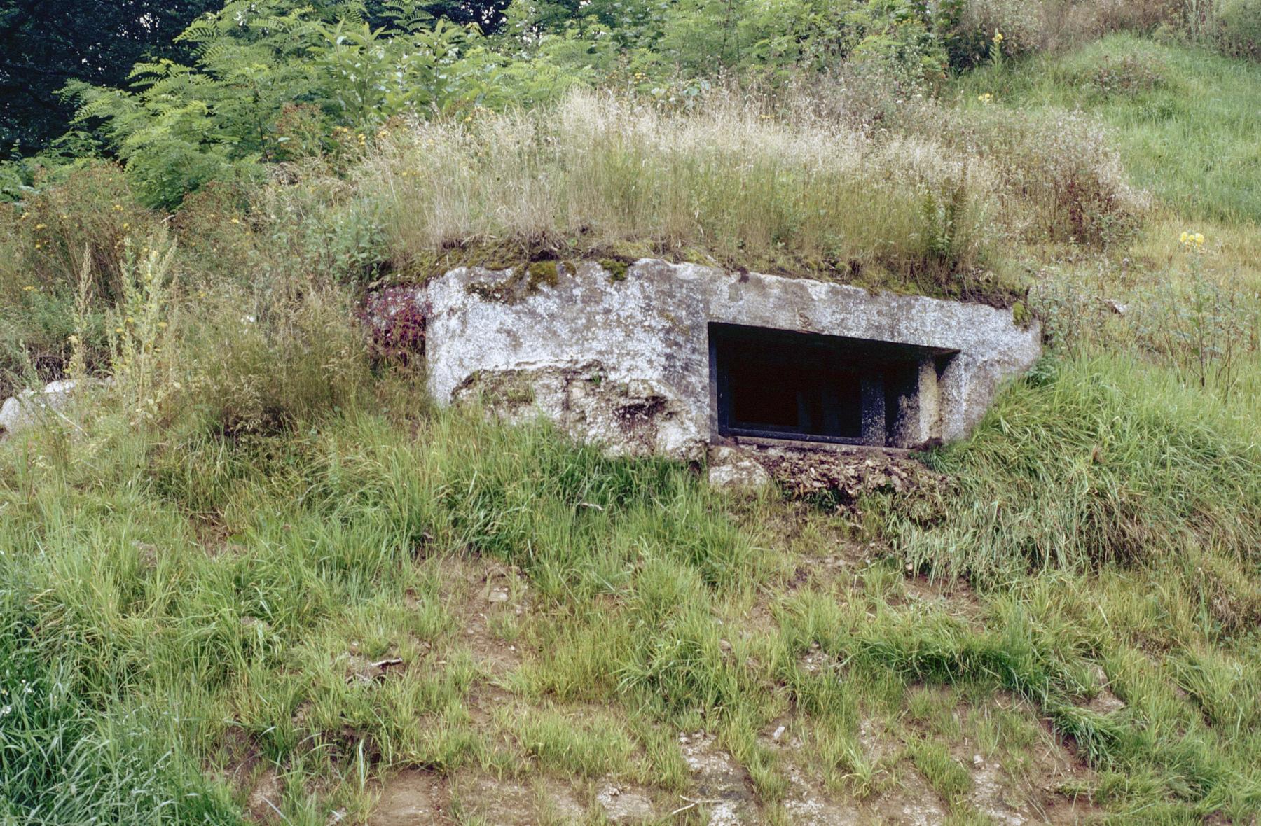 Ligne Maginot - GALGENBERG EST - (Blockhaus pour arme infanterie) -  - MANSUY Michel
