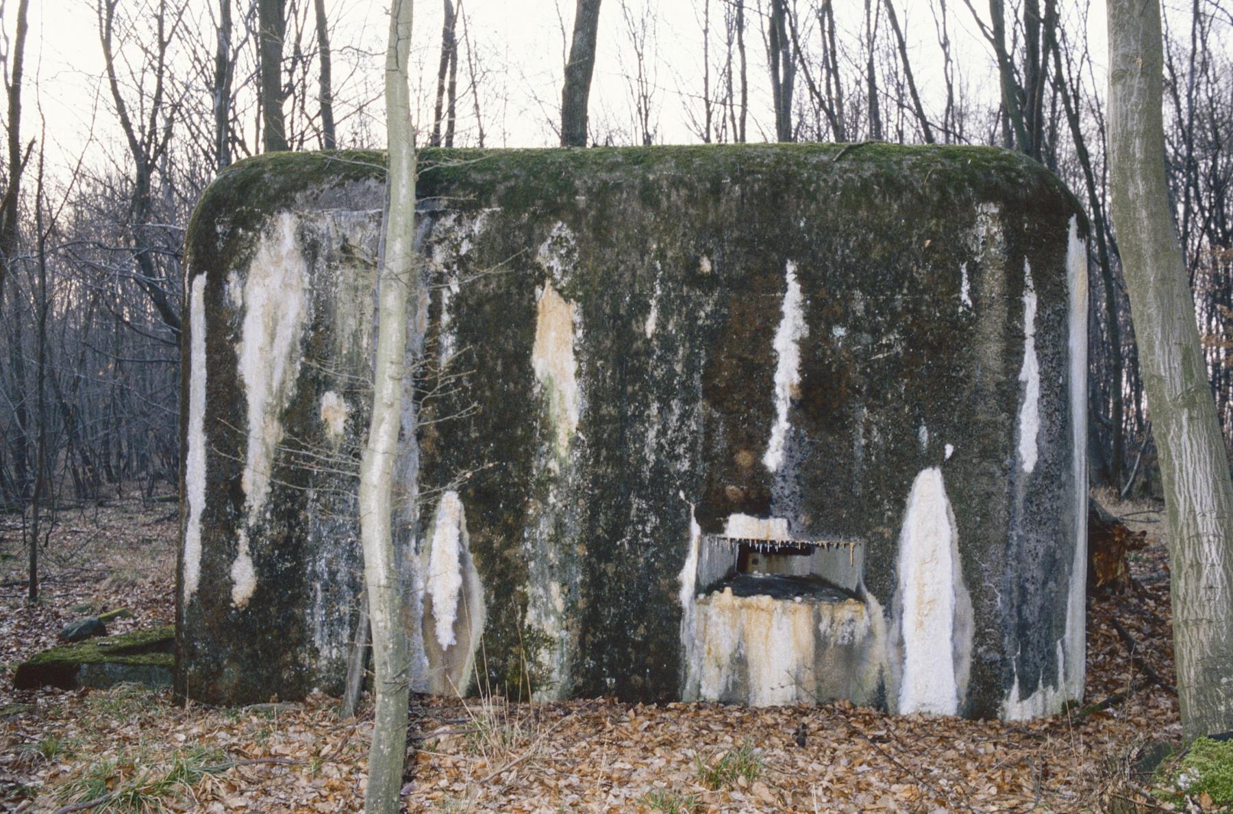 Ligne Maginot - HELLENWALD 7 - (Central téléphonique d'observation) -  - MANSUY Michel