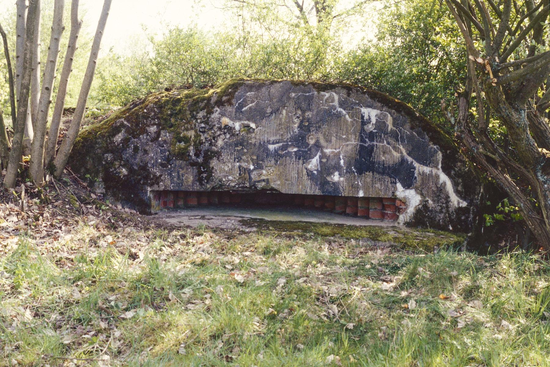 Ligne Maginot - PFAFFENBUSCH 1 - (Observatoire d'infanterie) -  - MANSUY Michel