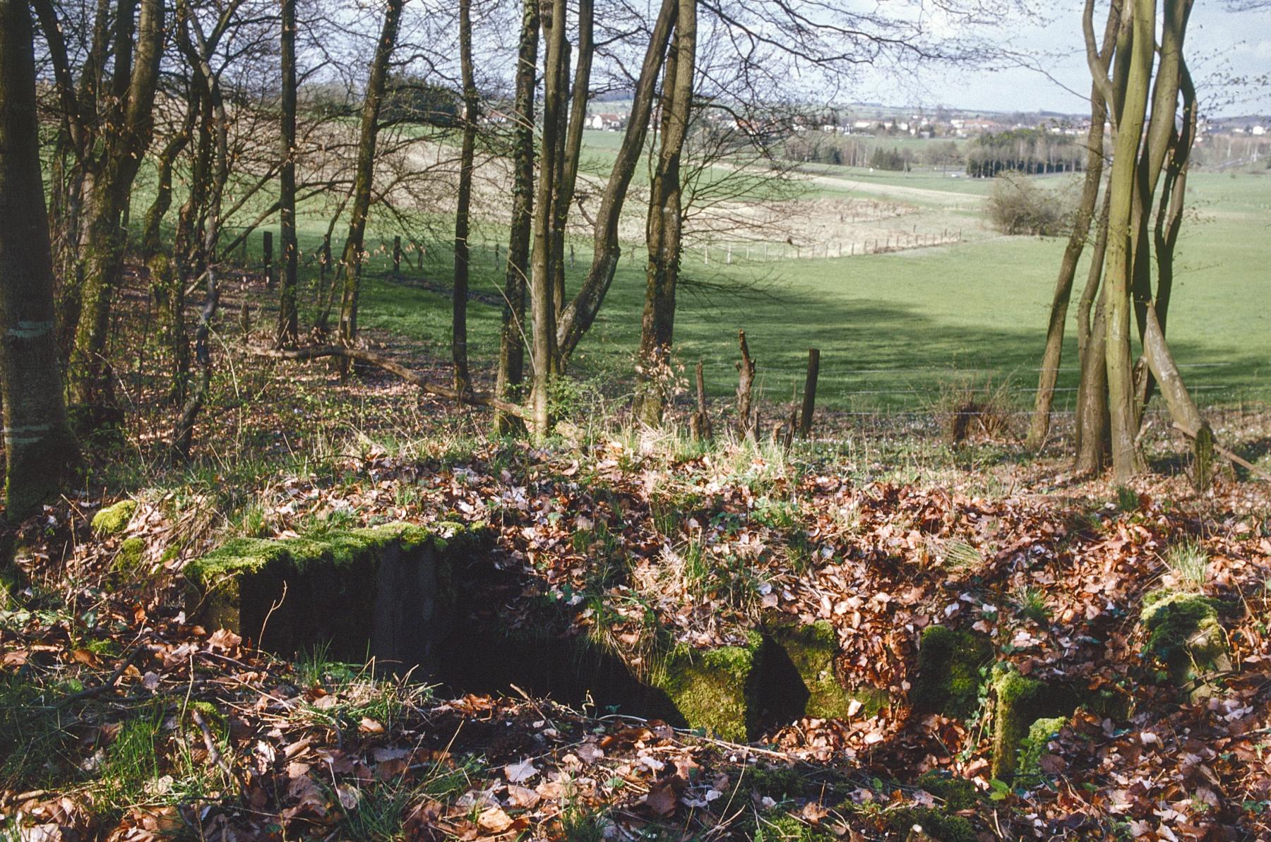 Ligne Maginot - PFAFFENBUSCH 2BIS - (Blockhaus de type indéterminé) -  - MANSUY Michel