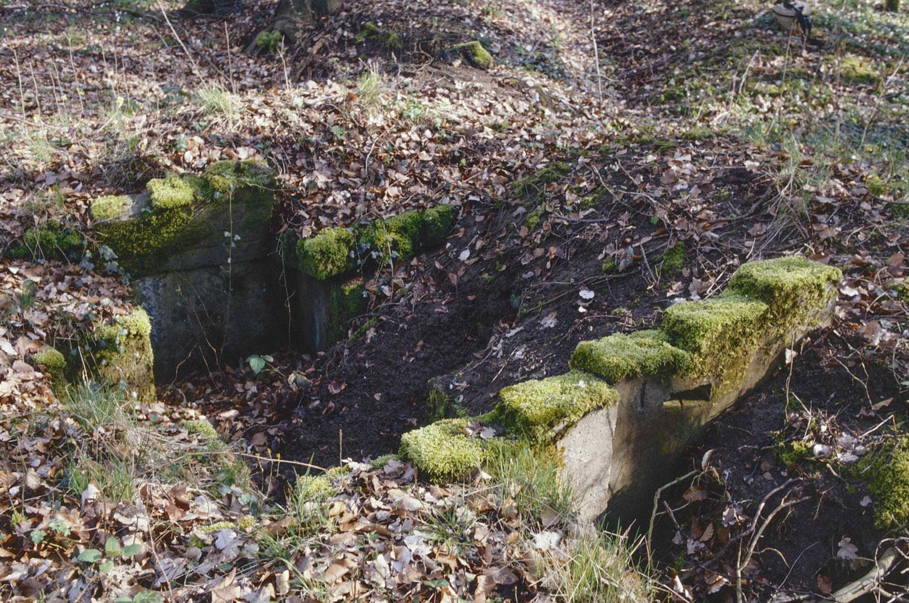 Ligne Maginot - PFAFFENBUSCH 2BIS - (Blockhaus de type indéterminé) -  - MANSUY Michel