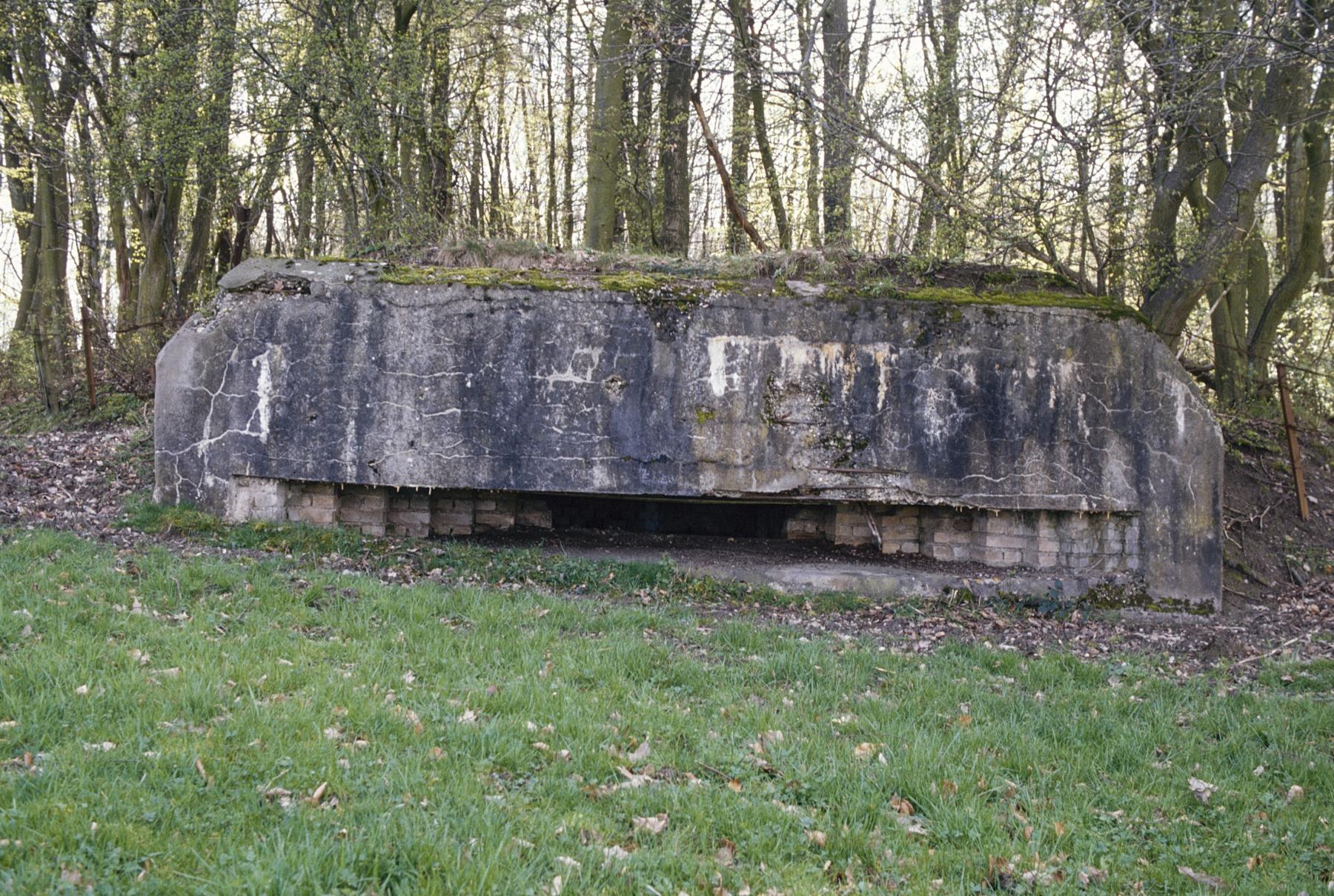 Ligne Maginot - PFAFFENBUSCH 3 - (Observatoire d'infanterie) -  - MANSUY Michel