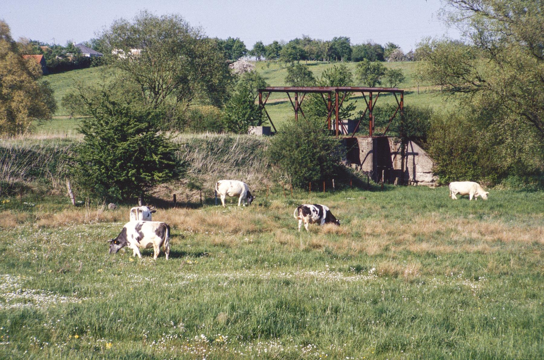 Ligne Maginot - PUTTELANGE - (Inondation défensive) -  - MANSUY Michel