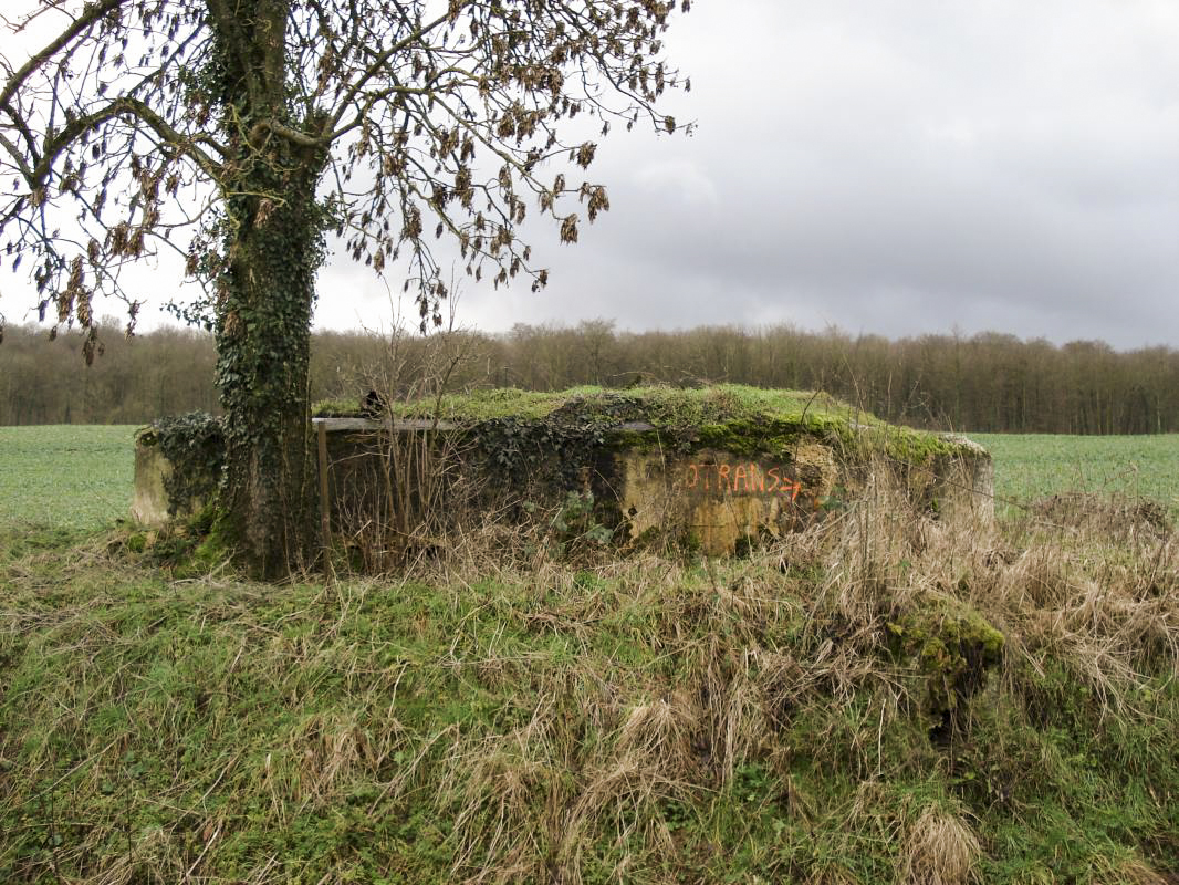 Ligne Maginot - 14A - FERME DE BLANCHAMPAGNE - (Blockhaus pour arme infanterie) - Face frontale