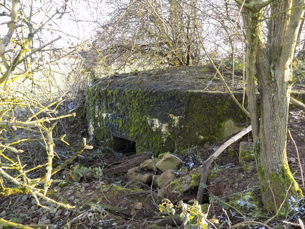 Ligne Maginot - 21 - MAIRY OUEST - (Blockhaus pour canon) - Face nord ouest