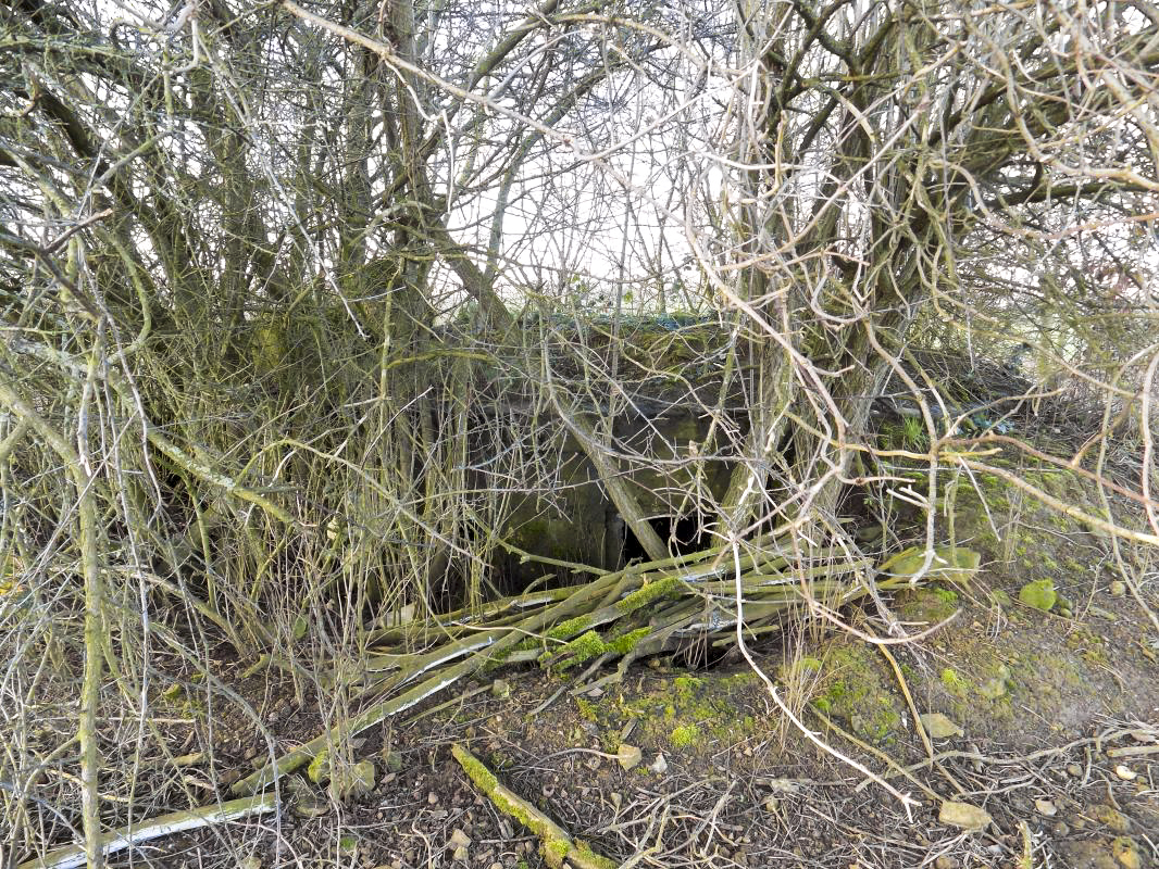 Ligne Maginot - 21 - MAIRY OUEST - (Blockhaus pour canon) - L'entrée - R Tucker