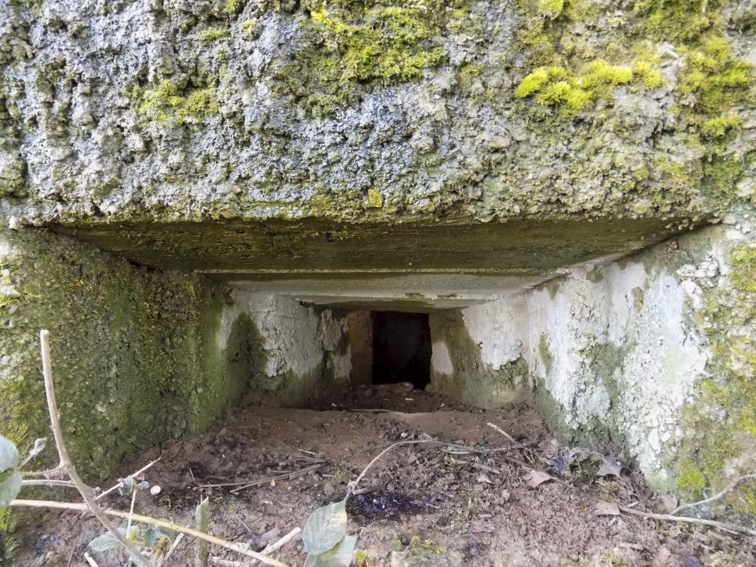Ligne Maginot - 21 - MAIRY OUEST - (Blockhaus pour canon) - Créneau, face nord ouest