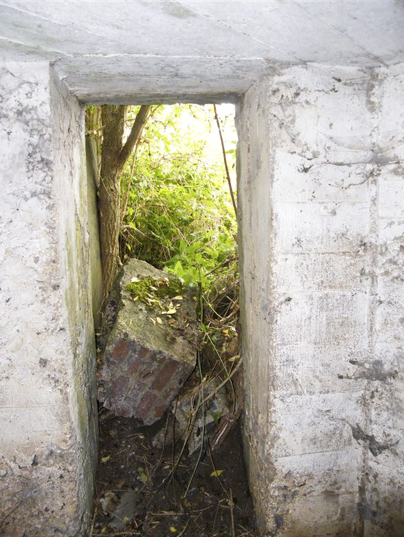 Ligne Maginot - 23A - FORGES DE BREVILLY - (Blockhaus pour arme infanterie) -  - Jean-Louis AUBLET & Sylvie MAINGUIN