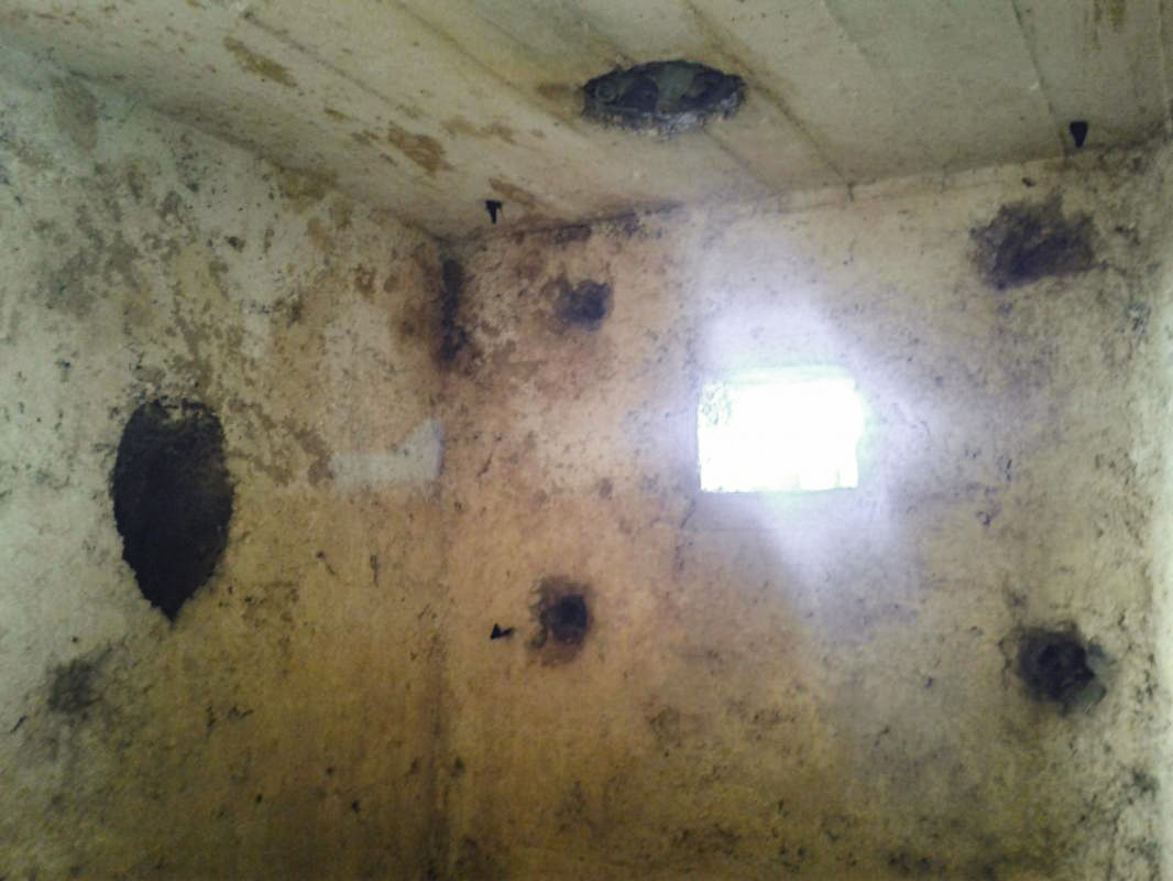 Ligne Maginot - 25B - BULTY SUD - (Blockhaus pour arme infanterie) - Créneau de gauche, pour FM. - F.THOMASSIN