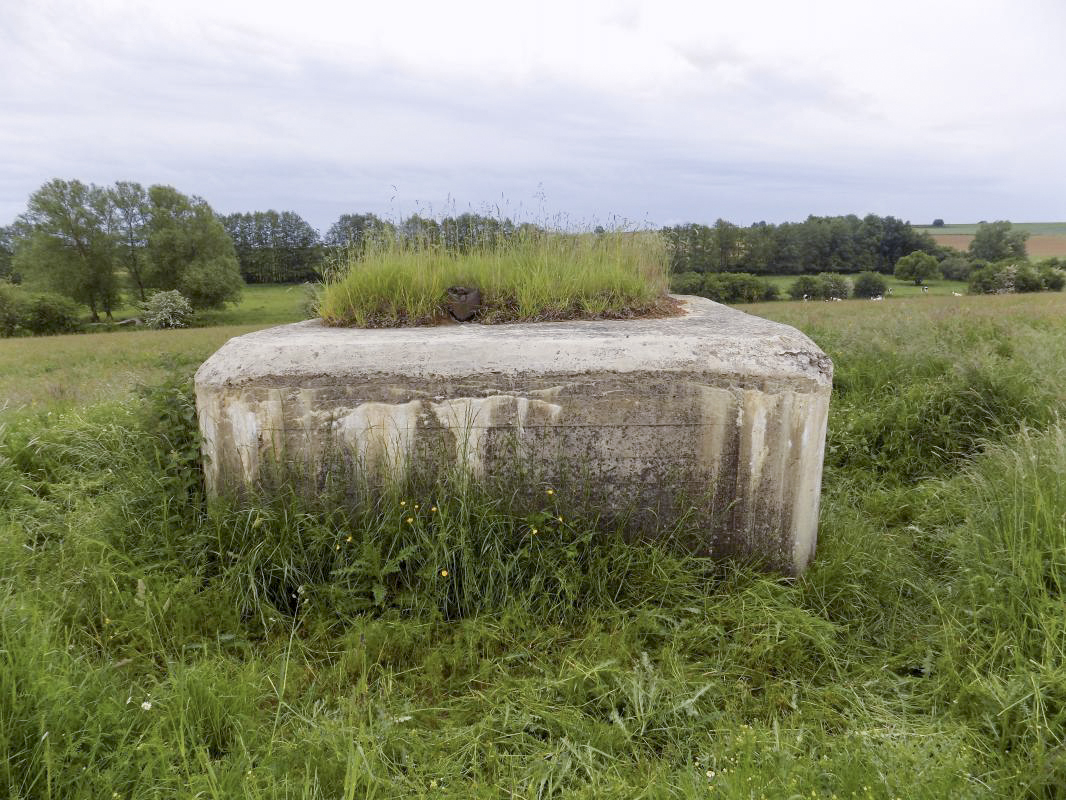 Ligne Maginot - 28 - FOND DE TURGEON - (Blockhaus pour arme infanterie) - Face gauche